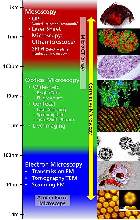 MIC Instruments Overview