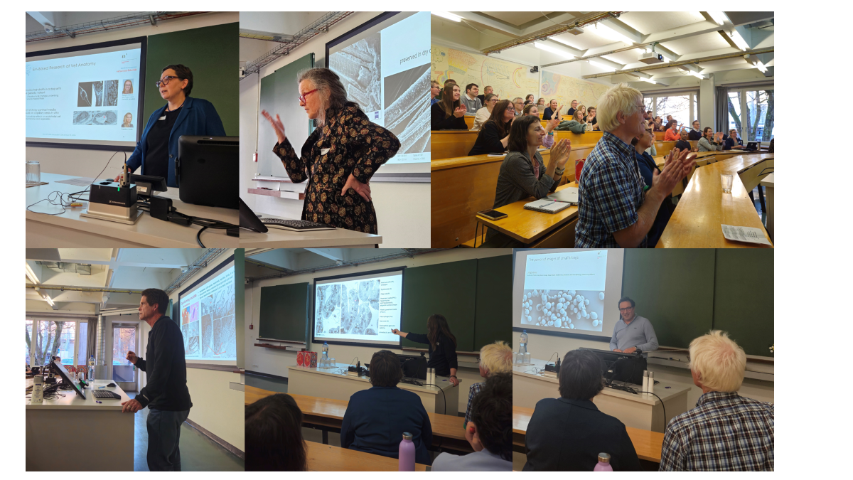 Mini Symposium Collage