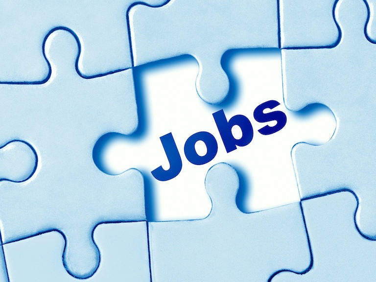 Puzzle image with a missing piece in the middle, the empty space reads "jobs"